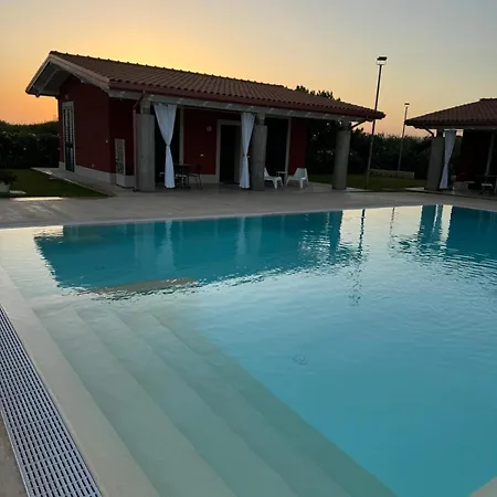 Oliva * إيسبيكا